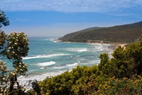 Great Ocean Road in der Nähe von Lorne