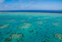 Das Great Barrier Reef