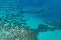 Das Great Barrier Reef