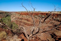 Dales Gorge im Karijini NP