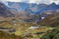 Cajas Nationalpark (4.300m)