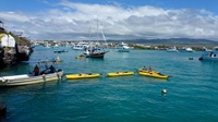 Galápagos - Hafen von Puerto Ayora