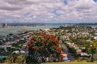 Blick auf Auckland