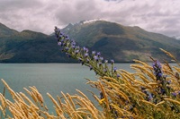 Fahrt nach Queenstown (Lake Wanaka)