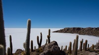 Isla Pescado, Salar de Uyuni